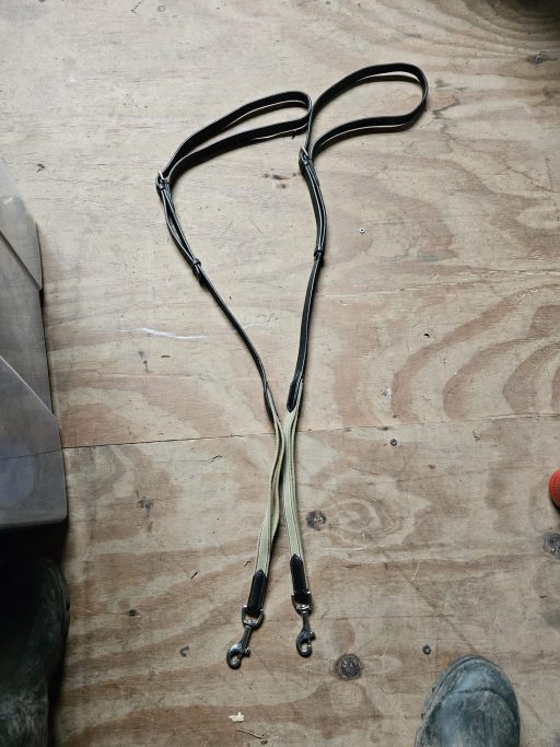 Elasticated adjustable side reins