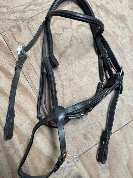 XF brown grackle bridle with padded head piece