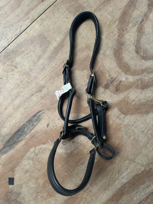 PONY black leather head collar with brass metal work - Image 3