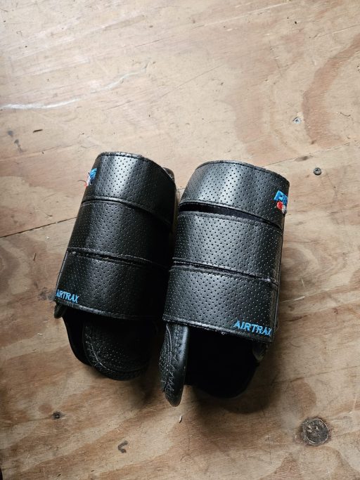 Premier equine tendon boots - black - size small