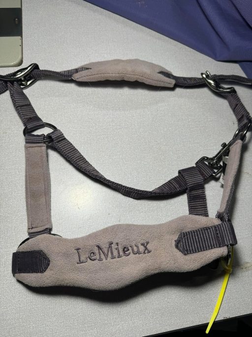 Lemieux pony headcollar